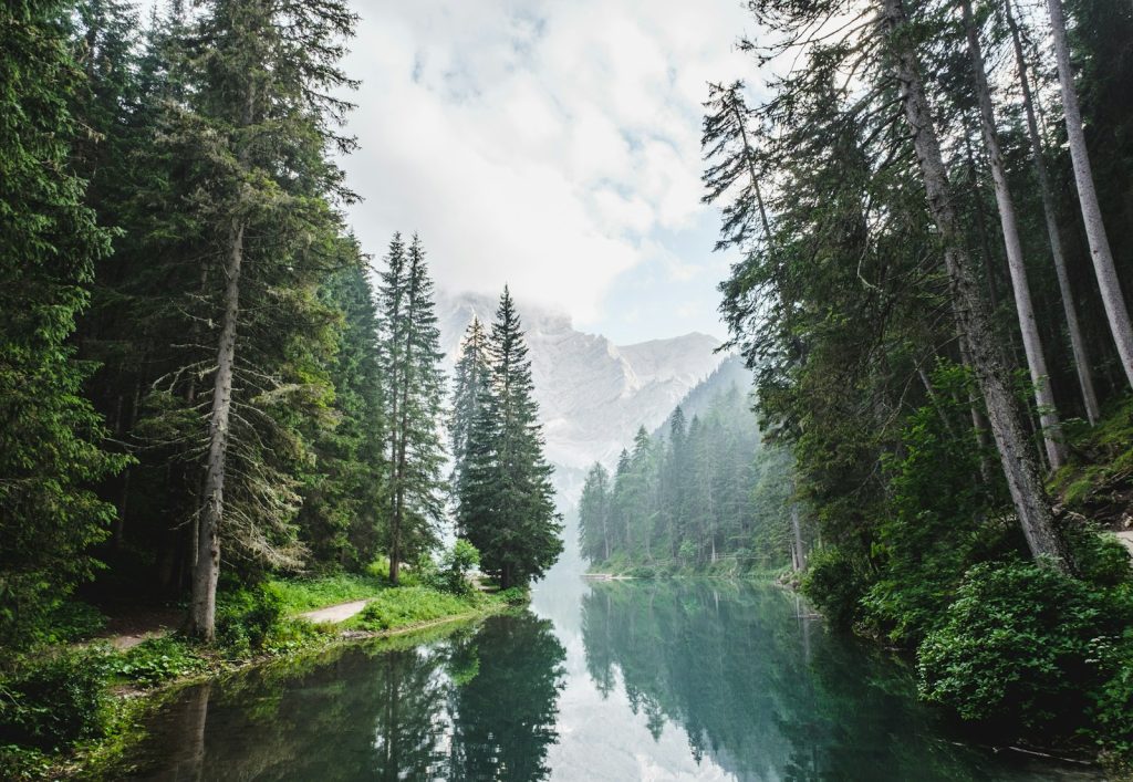 foret